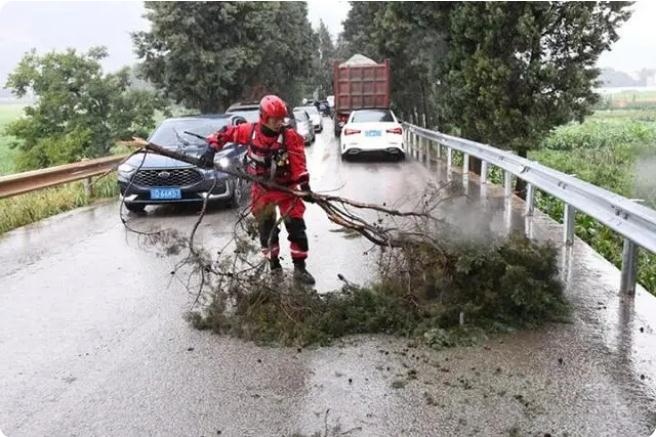 麒麟?yún)^(qū)遭暴雨突襲|部分道路積水嚴(yán)重，消防緊急排澇解憂